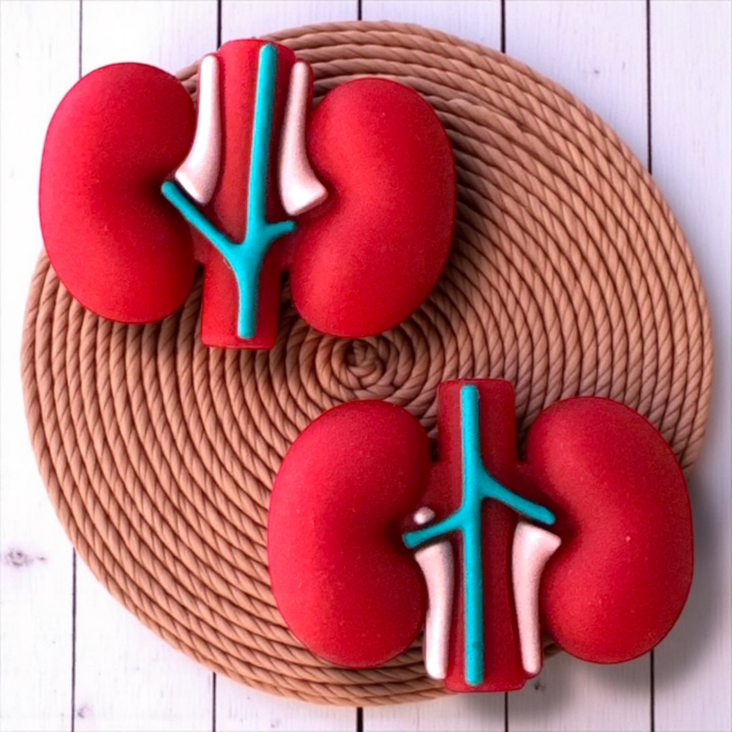 T176 "3D Kidney" Silicone Focal Bead
