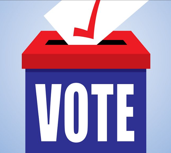 X313 - “FREE SILLY ELECTION DAY FOCAL" - 1 PER ORDER (adding more than one, you will get none!)