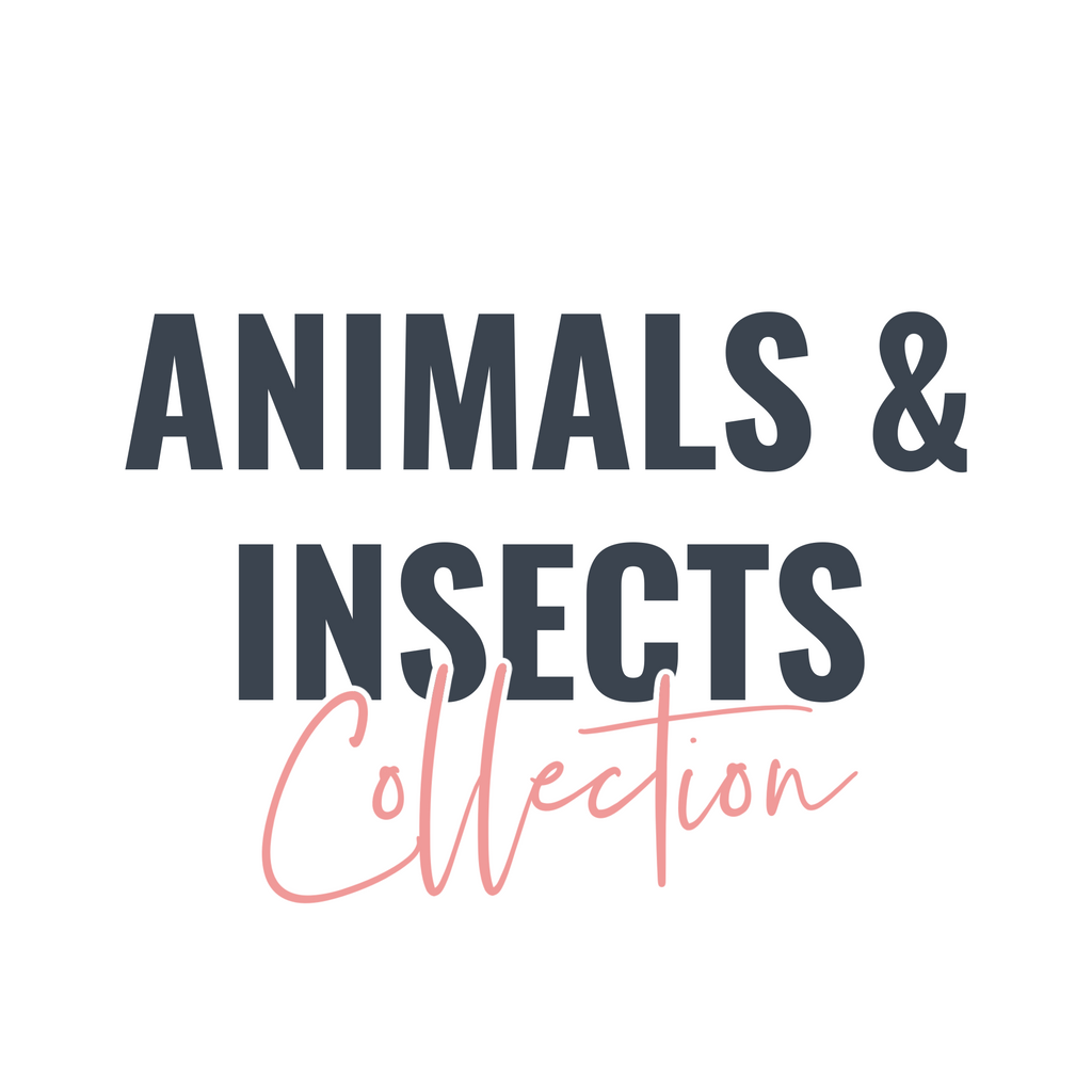 Animals & Insects Collection