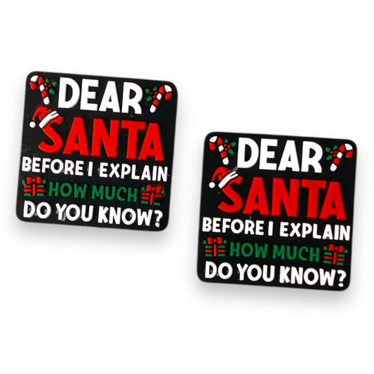 T169 -  “Dear Santa” Silicone Focal Bead (1 Count)