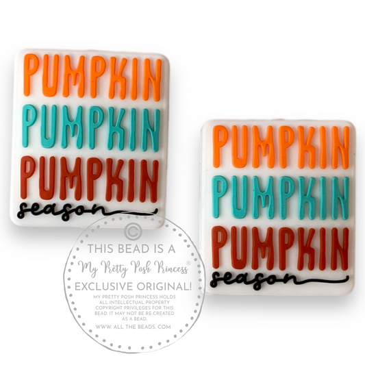 h804 - “Pumpkin Season"  Exclusive  Focal Bead Silicone (1 Count)